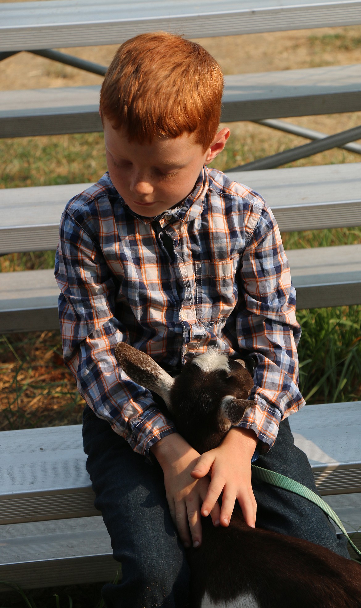 A young 4-H'er hangs out with his goat while waiting his turn to compete in the ring on Thursday at the Bonner County Fair.