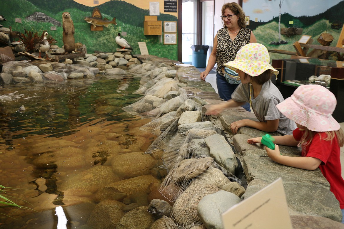 Young fair participants try to spot the fish in the pond Thursday in the wildlife building at the Bonner County Fair.