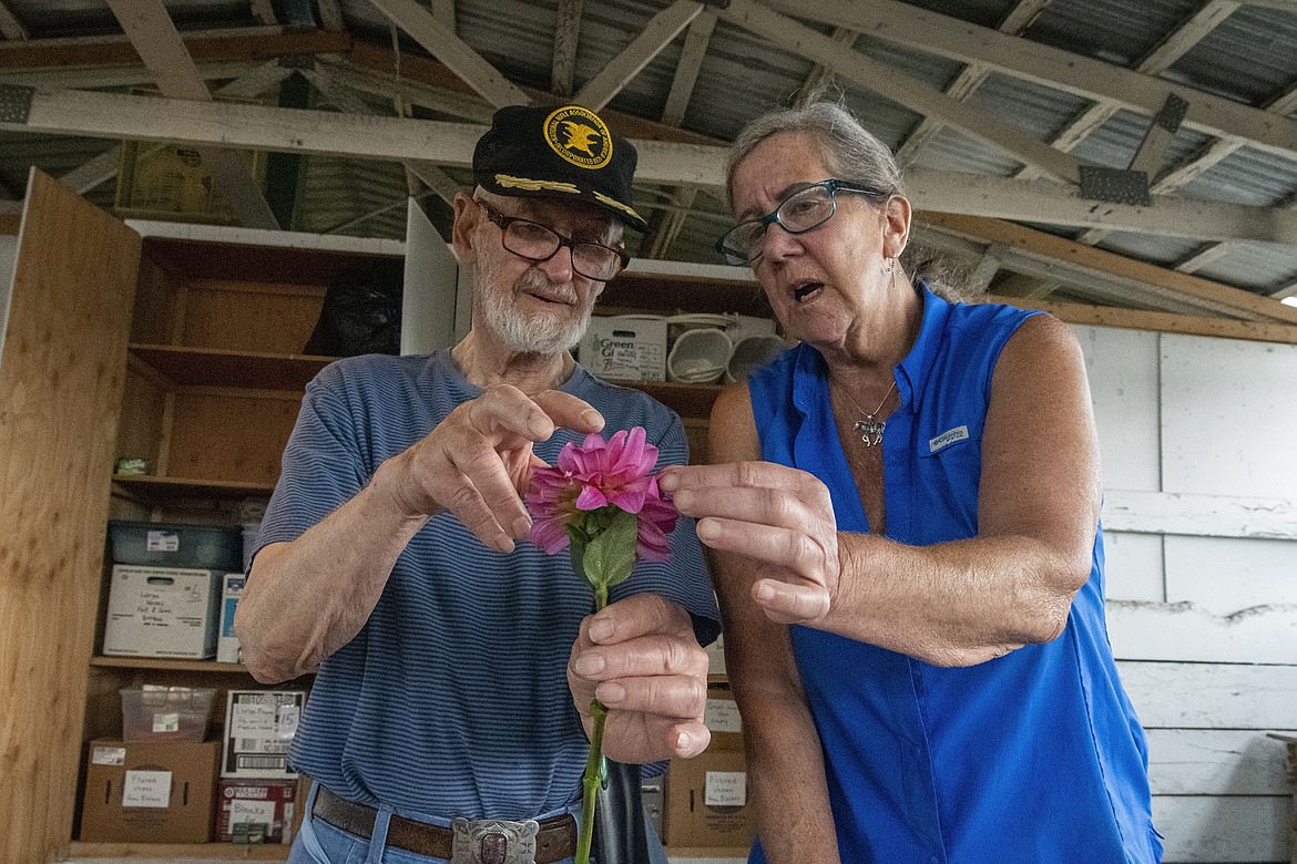 Mike Valler helps Eileen Schmidt categorize her entry in the dahlia show at Flathead County Fairgrounds on Friday, Aug. 18. (Avery Howe/Hungry Horse News)