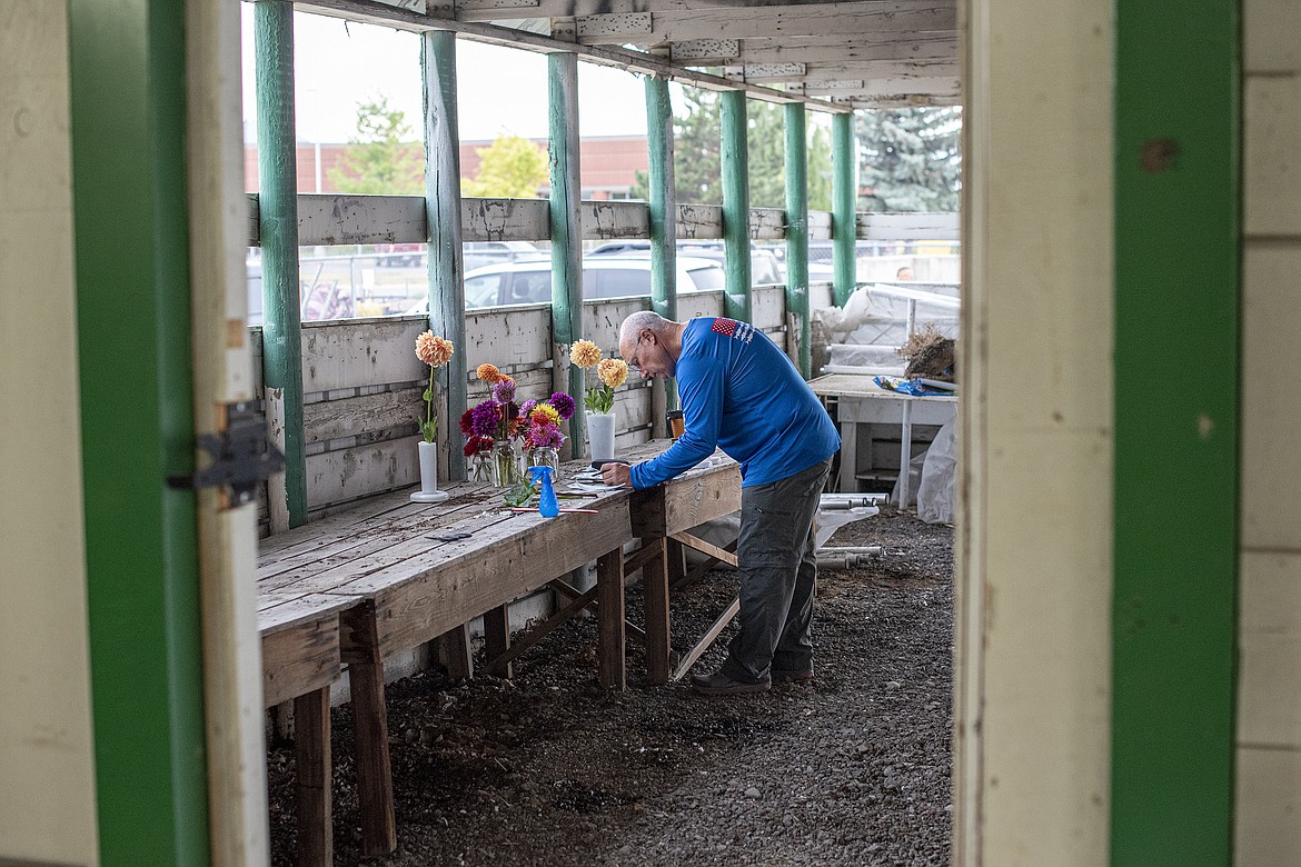 Montana Dahlia Society member Pat Rankin prepares his entries for the dahlia show at Flathead County Fairgrounds on Friday, Aug. 18. (Avery Howe/Hungry Horse News)