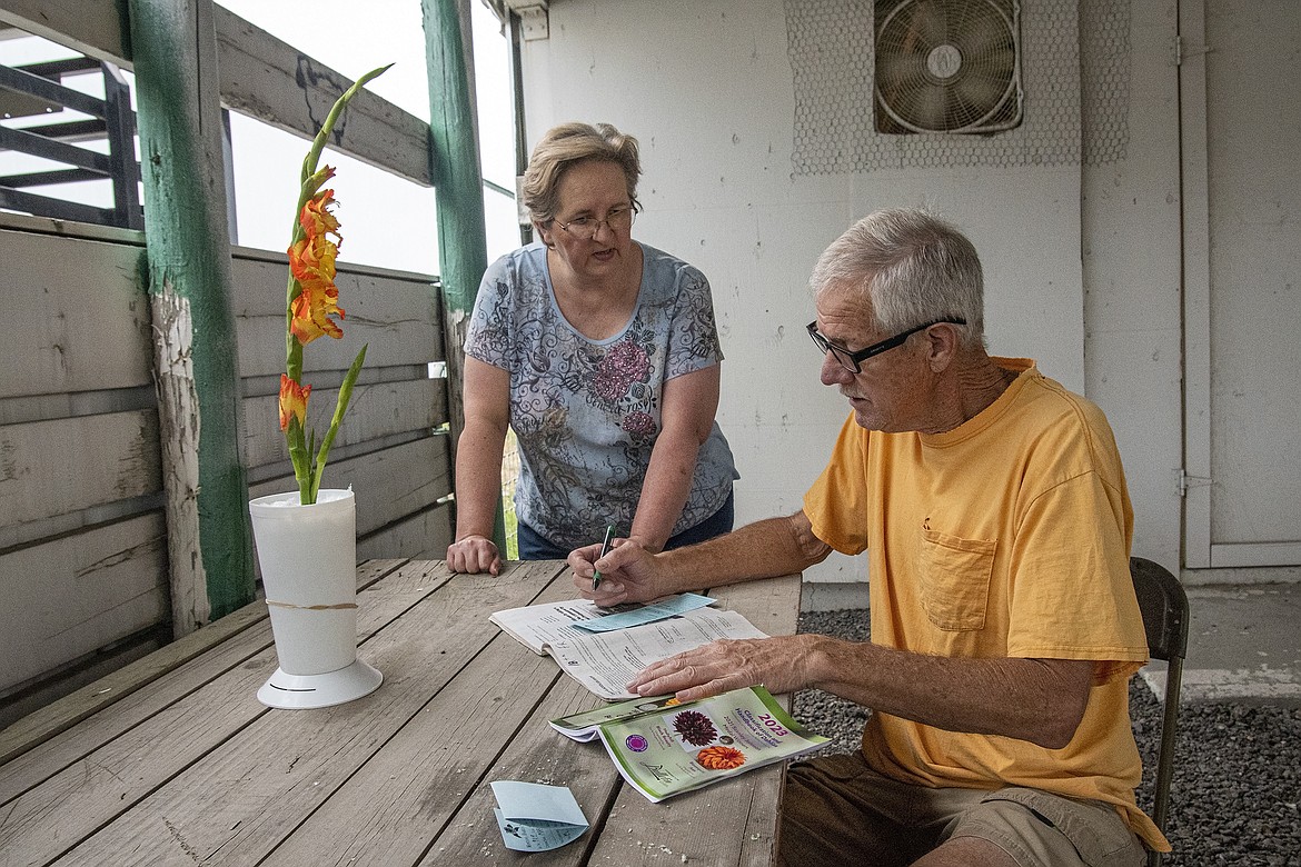 Neighbors Laura Workman and Tom Woodhouse work together on their entries in the dahlia and gladiolus shows at Flathead County Fairgrounds on Friday, Aug. 18. Workman said this is her first year participating in the show. They have been growing their flowers together as part of a community for the event. (Avery Howe/Hungry Horse News)