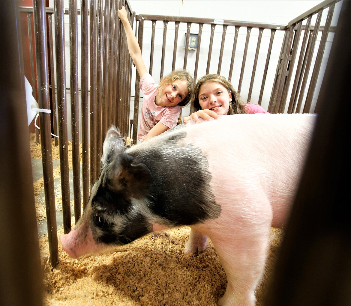 Cousins Josie and Braylee Dippolito share a fun moment with one of the family's pigs at the North Idaho State Fair on Friday.