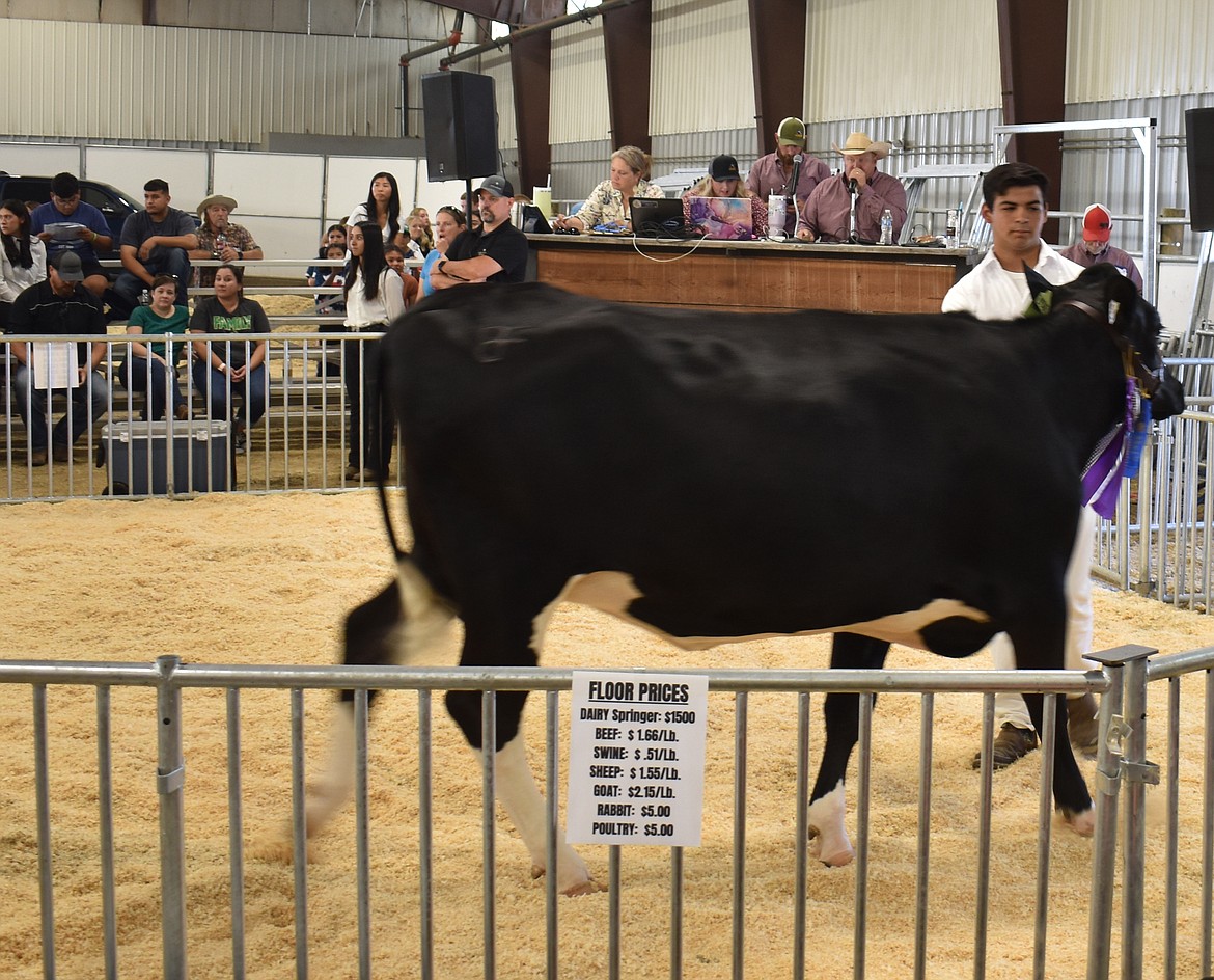 Rentyn Koehn of Royal City walks his grand champion heifer around the ring as auctioneer Chuck Yarbro Jr. calls in the bids. Koehn’s critter sold for $2,100.