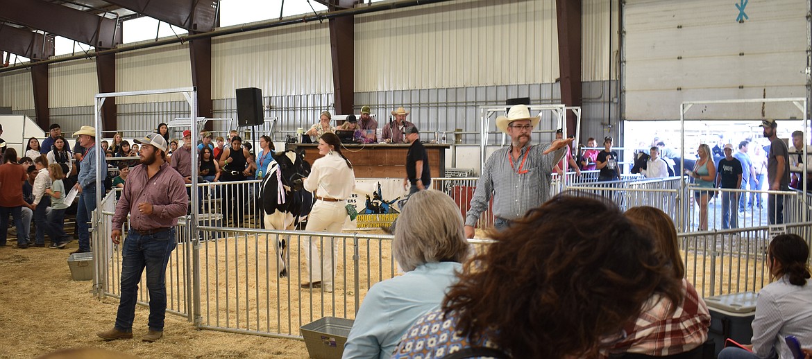 Spotters watch for bids as Chuck Yarbro, seated in the background, calls out numbers for a springer heifer up for auction at the Grant County Fair Friday morning.