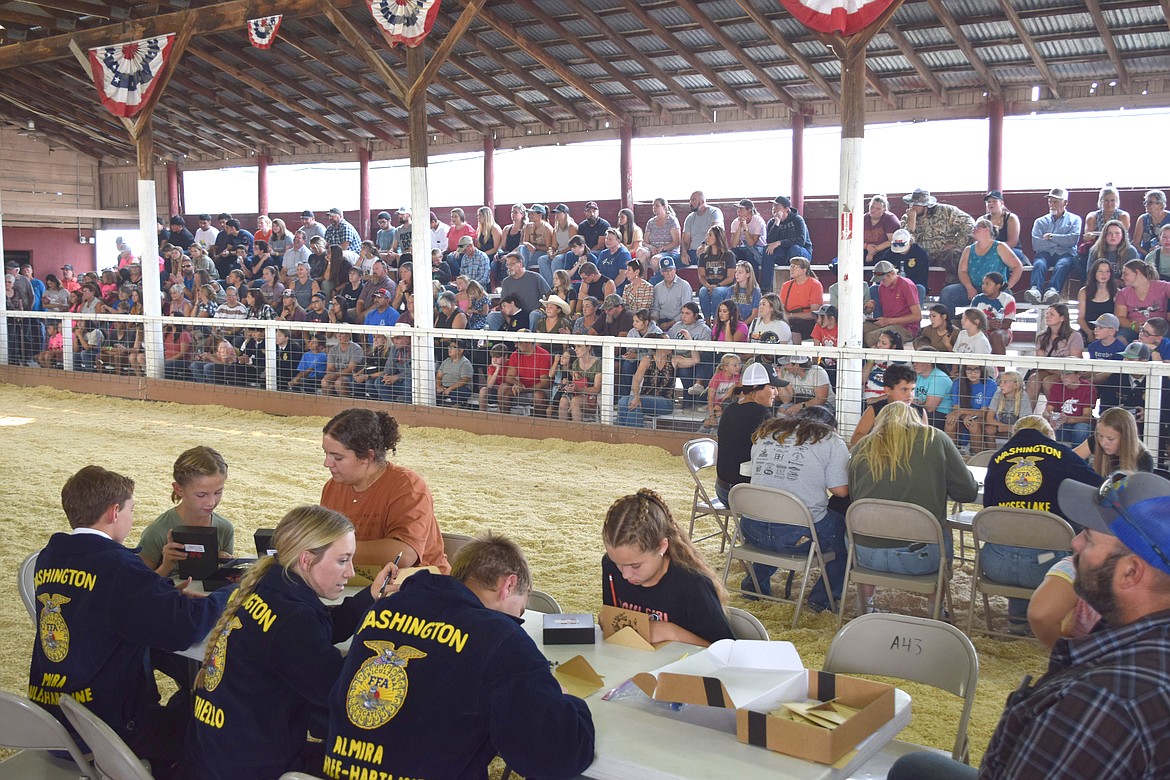 Award winners at the 4-H, Future Farmers of America and Grange Livestock Awards at this year’s Grant County Fair write thank-you cards after being presented with their awards Saturday afternoon.