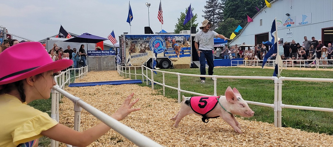 Crowds went hog wild Monday as All-Alaskan Racing Pigs took to the track at the North Idaho State Fair.