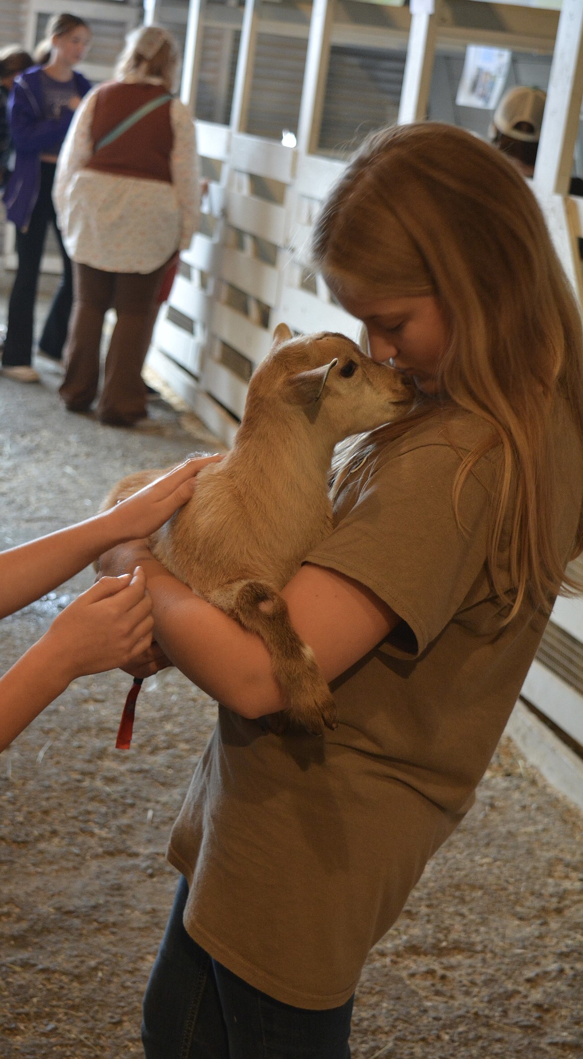 Caitlyn Wheeler rocks her 8-week-old baby goat as live music played outside Tuesday at the North Idaho State Fair.