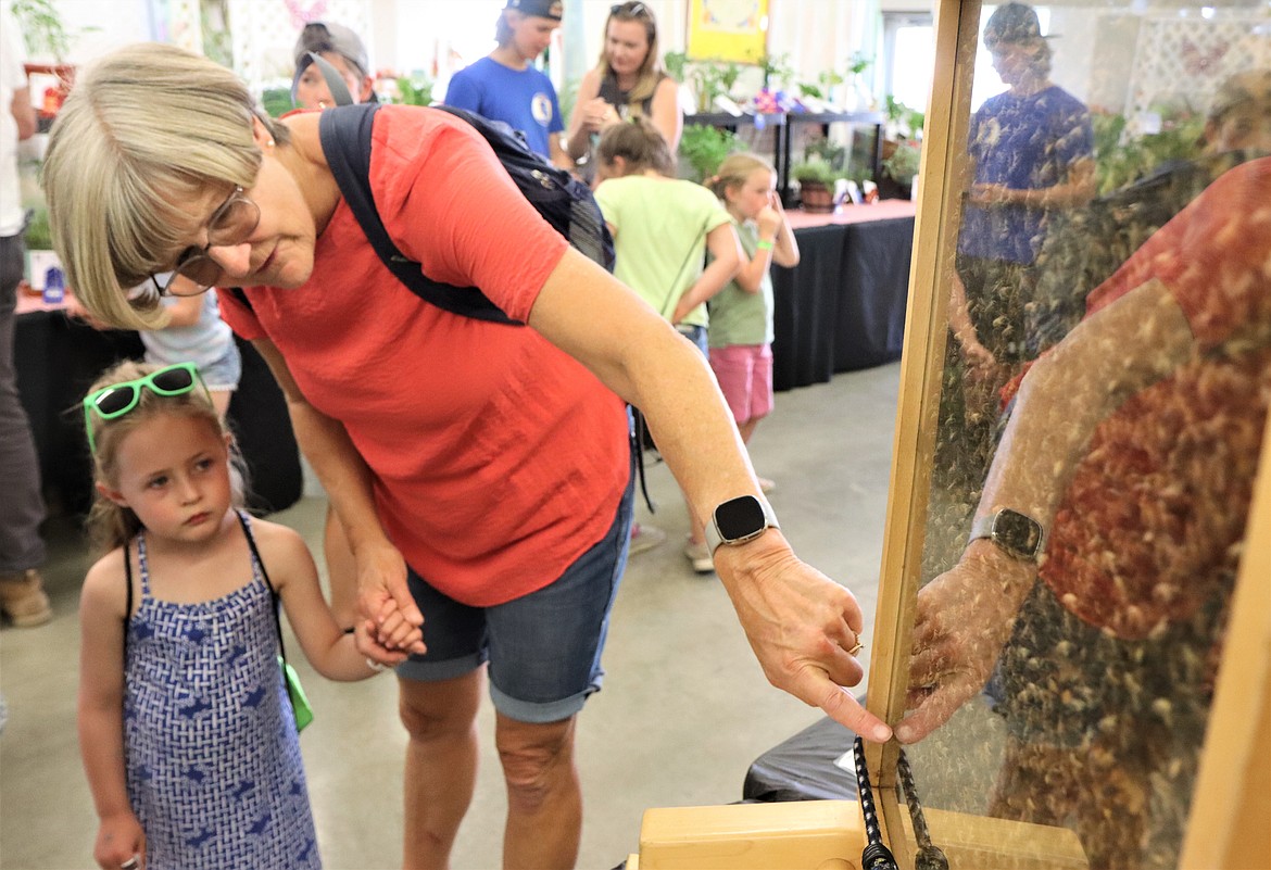 Dana Stiegemeier shows honey bees to her granddaughter, Elsie Maloney, at the North Idaho State Fair on Thursday.