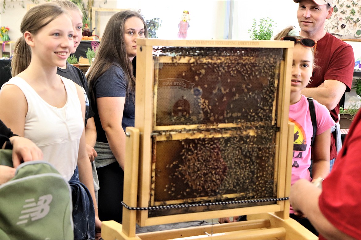 All eyes are on Kelli Austin as she talks about honey bees at the North Idaho State Fair on Thursday.