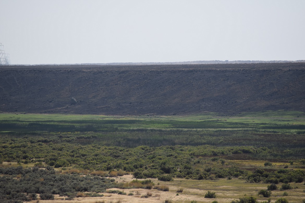 Sun shines at the Rocky Ford Creek dip between Ephrata and Moses Lake on S.R. 17. The gully the creek runs through saw a wildfire earlier this summer, but thanks to the creek, much of the area is already green again, though the hillside in the background is still scarred with scorched vegetation and little greenery.