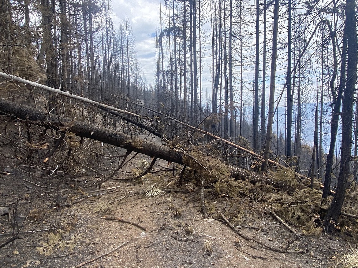 A blocked road in northwest part of River Road East Fire on Friday, August 25. (InciWeb photo)