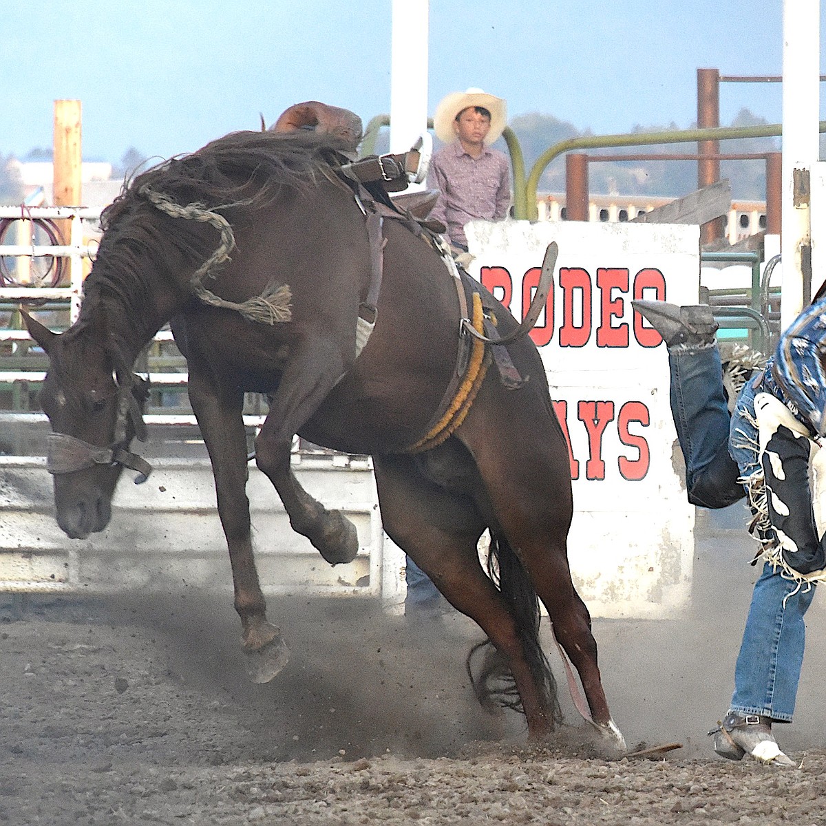 Infri Rodeo INFR Tour Rodeo rocks the Flathead | Lake County Leader