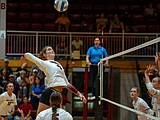 NIC ROUNDUP: Cardinals come home, knock off Bellevue in four