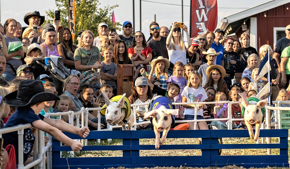 All-Alaskan racing pigs fly over a hurdle at this year's North Idaho State Fair. The pigs were a crowd favorite.