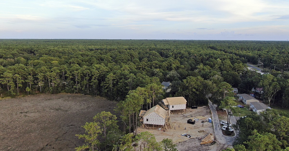 States at the forefront of fights over wetlands protections after justices slash federal rules - Vimarsana News