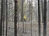 Rain gives wildfire firefighters an assist