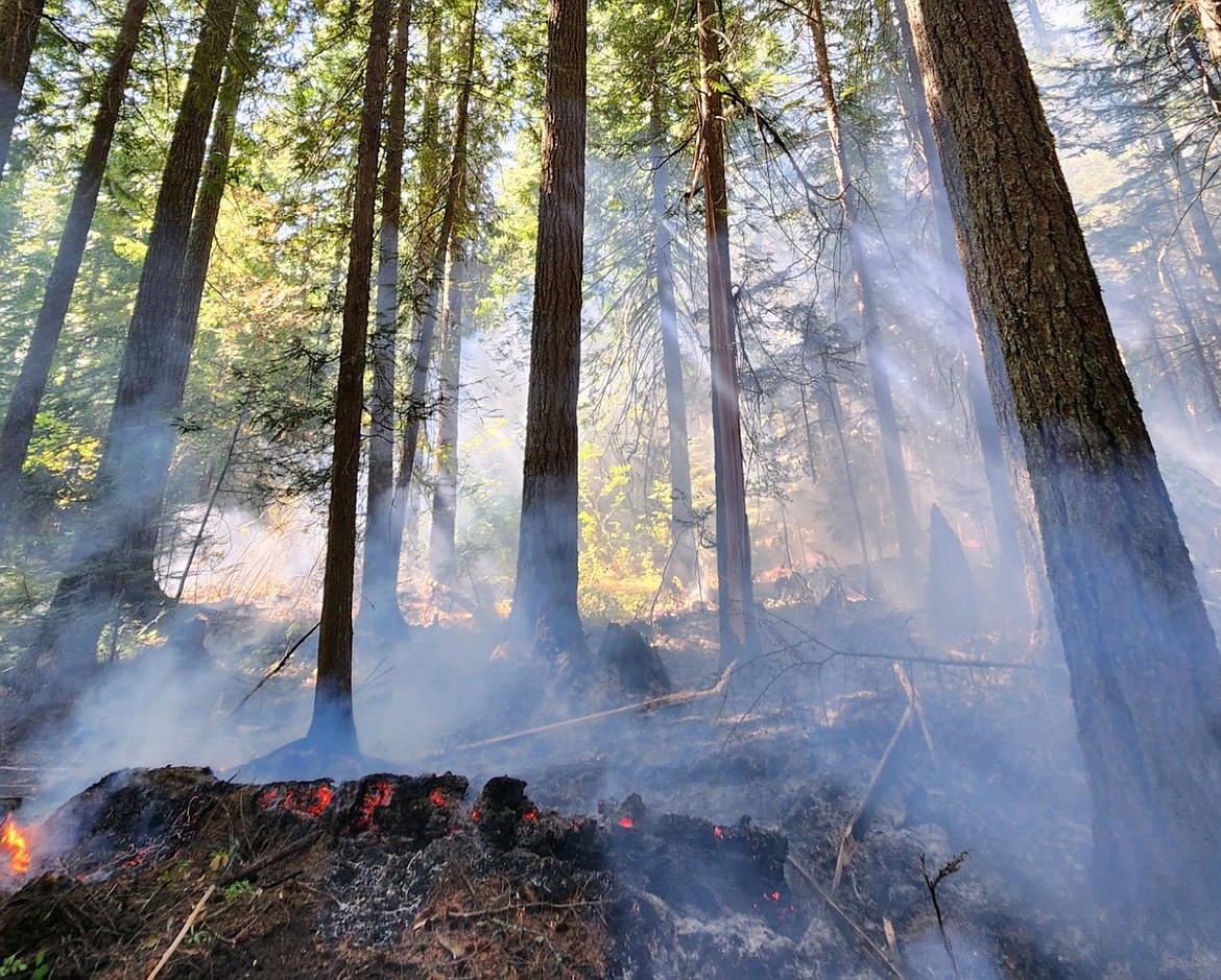 Lightning struck in the south zone of the Cowlitz Complex Aug. 26. The complex so far is comprised of more than 40 small fires and a few larger ones.