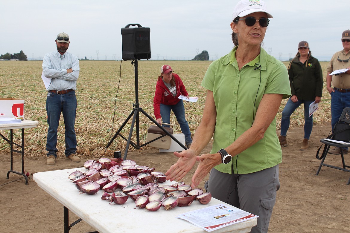 Washington State University professor Lindsey du Toit talks about the effect of very hot weather on maturing onions during the Onion Field Day.