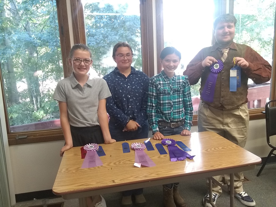 Participants in the 4-H cat show gather this year's show, held Aug. 2. Pictured from left, are Avery Aumick, reserve champion cat; Abigail Scheckendanz, reserve champion cat showmanship; Emerson Kruse, grand champion cat and Morgan Husband, grand champion cat showmanship.