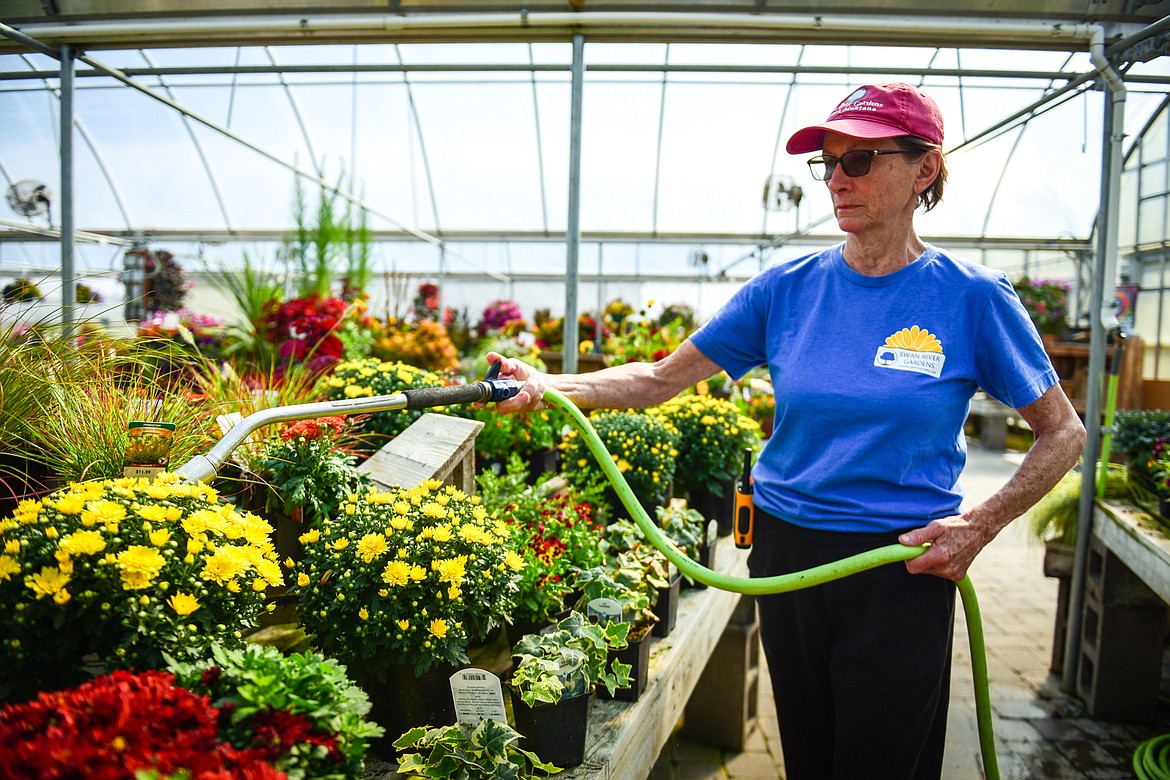Shelley Gonzalez waters a row of flowers for sale at Swan River Gardens and Nursery in Bigfork on Friday, Sept. 1. (Casey Kreider/Daily Inter Lake)