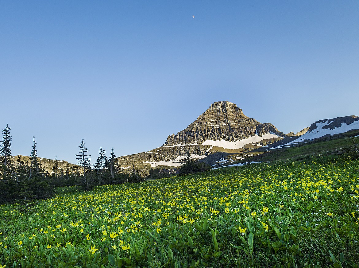 Reynolds Mountain at Logan Pass in Glacier National Park. (Daily Inter Lake FILE)