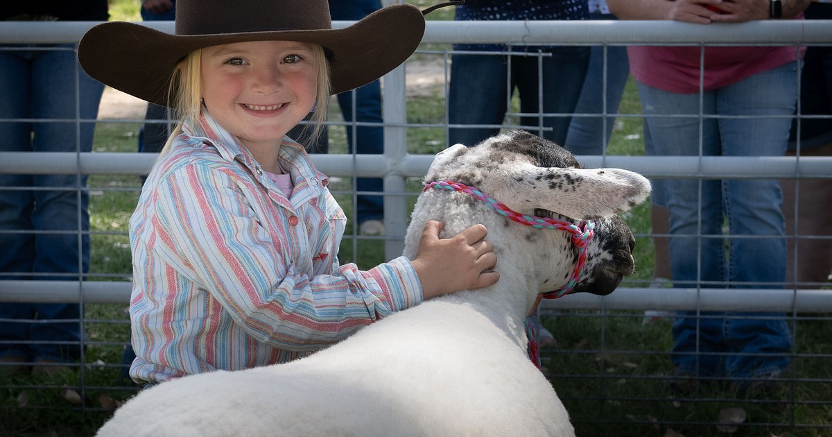 Impressive entries at Sanders County Fair Valley Press/Mineral