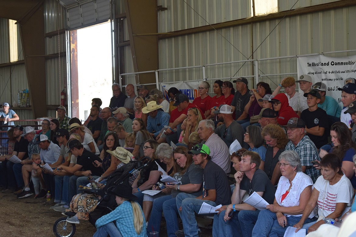 Audience members and prospective buyers watch from bleachers as 4-H and FFA members show their livestock for sale during Saturday’s livestock auction.