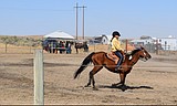 Open Horse Show competitors demonstrate riding skills at fair