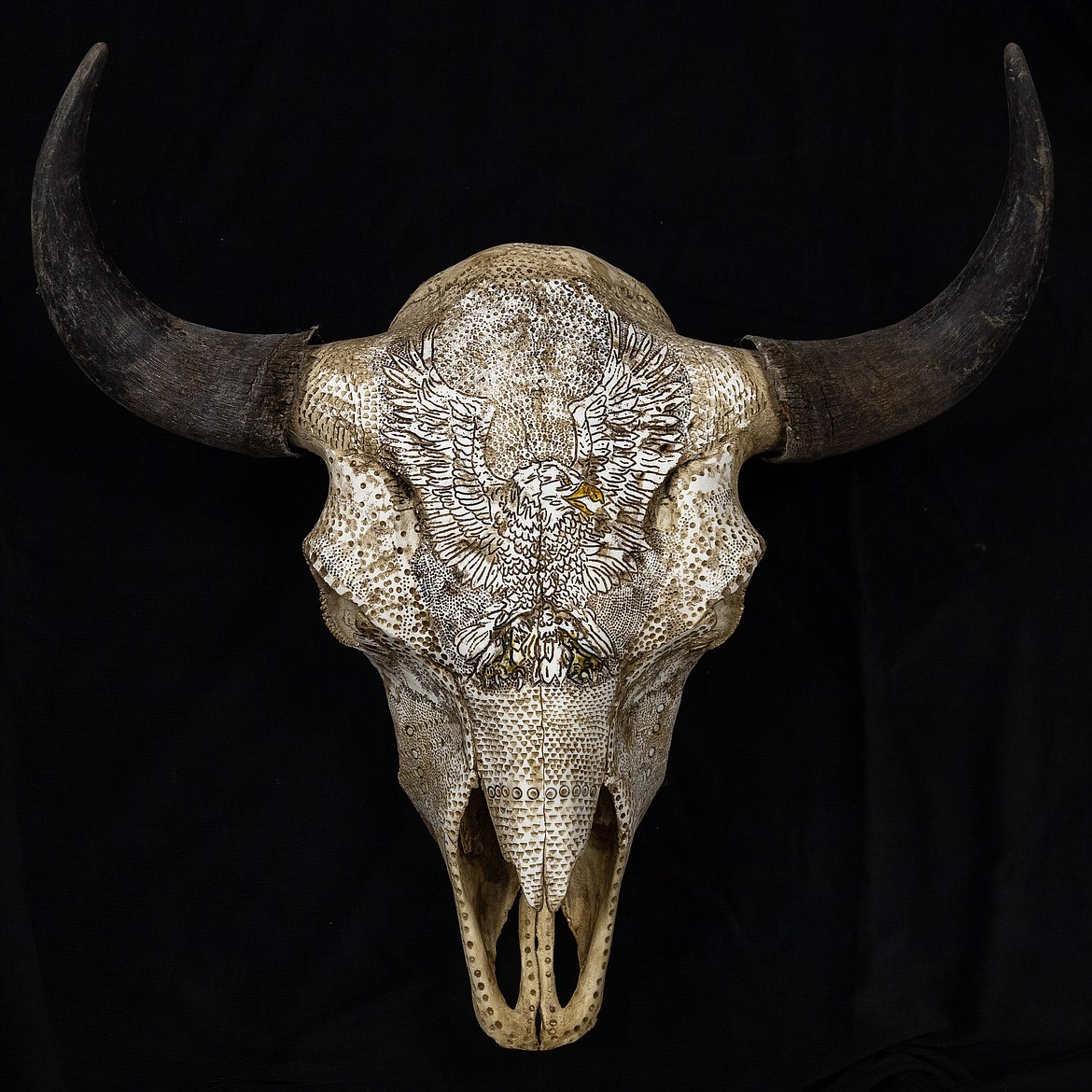 Eureka-based artist Joe Hickey uses animal skulls to create intricate sculptures. (Courtesy photo)