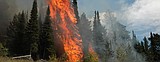 10 tips for hunters during fire season