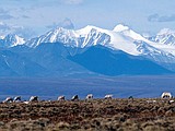 Biden administration cancels remaining oil and gas leases in Alaska's Arctic Refuge