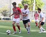 PREP SOCCER: Sandpoint girls top Lakeland; Priest River girls take down Newport