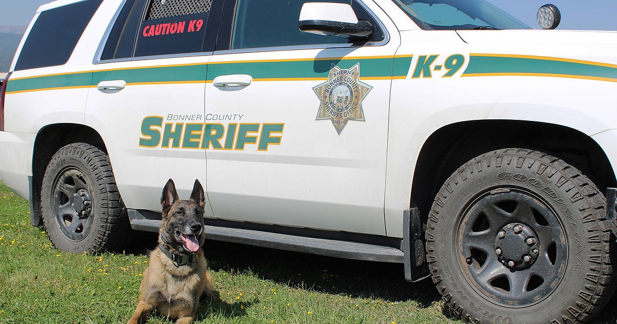 BCSO K9 officer recertified | Bonner County Daily Bee