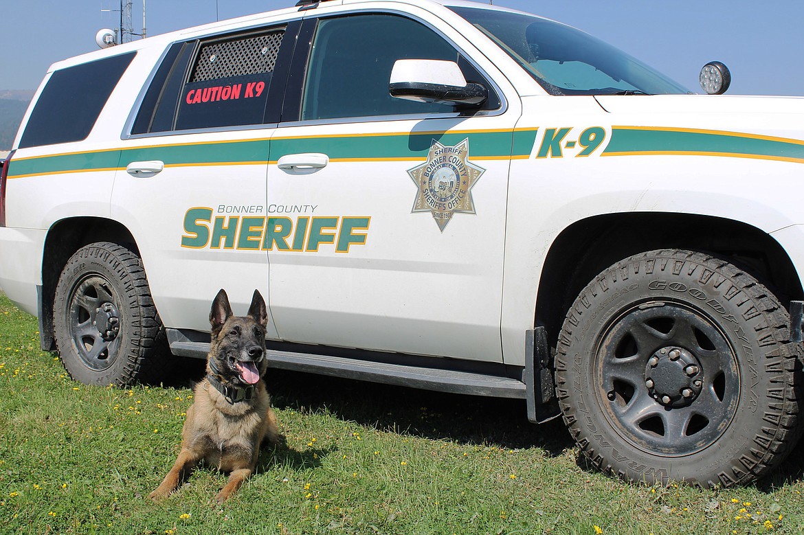 Kai, an 8-year-old Belgian Malinios K9 officer with the Bonner County Sheriff's Office, earned recertification earlier this month through the Idaho POST Academy.