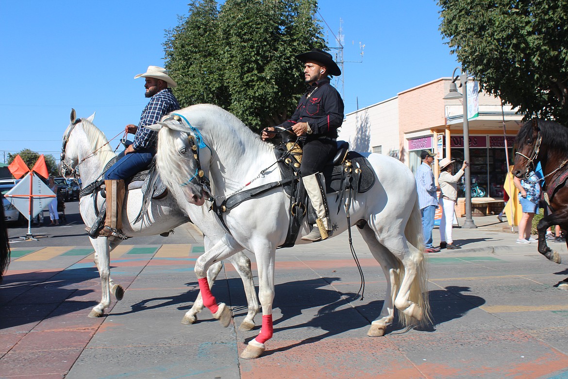 A high-stepping horse and its rider make their way down the Farmer Consumer Awareness Day  parade route.