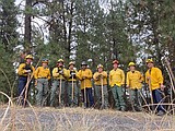 Local firefighters mobilized for large wildfires