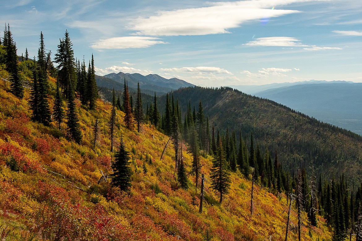 Fall colors emerging along the hike to Crater Lake.