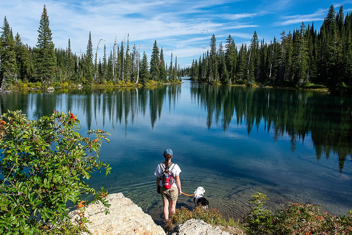 The author and her dog wade into Birch Lake.