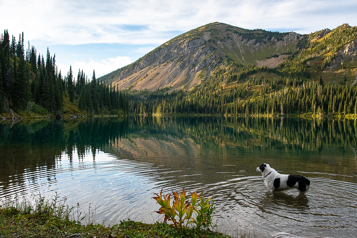 Margot swims in Birch Lake.