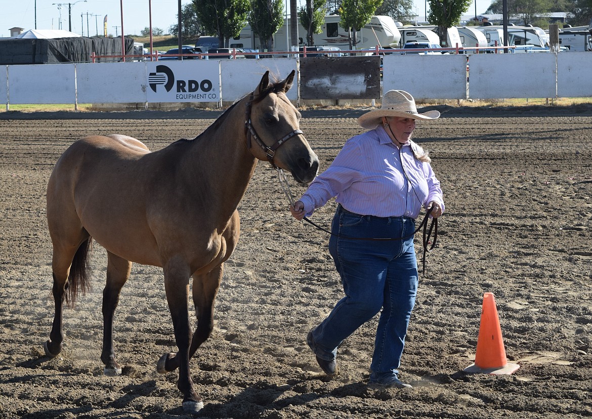 An adult competes in the Halter and Showmanship competition on Wednesday morning at the Horse Arena at the Othello Fair.