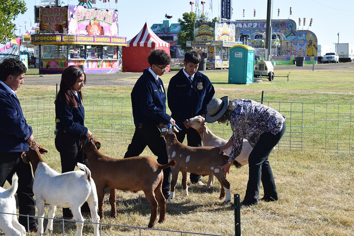 A livestock judge looks over Future Farmers of America members’ goats Wednesday for the Fit and Show and market showings.