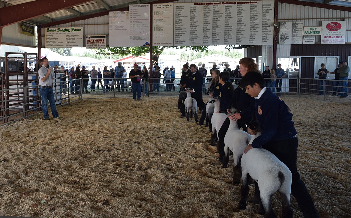 A livestock judge announces his observations of Future Farmers of America members’ lambs in the Duane Lathim Memorial Show Ring Wednesday.