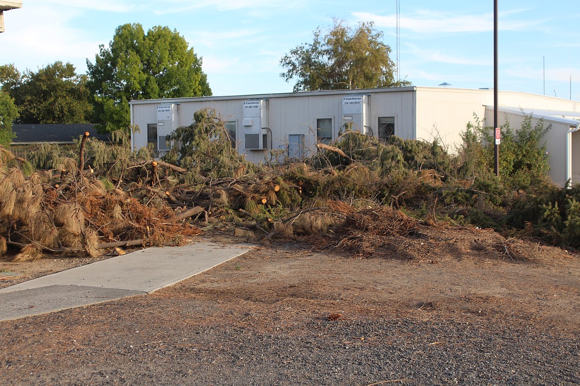 Branches left over from trees cut down to make way for the new Quincy hospital fill a section of the parking lot. Visible signs of construction are projected to start appearing the first week of October.