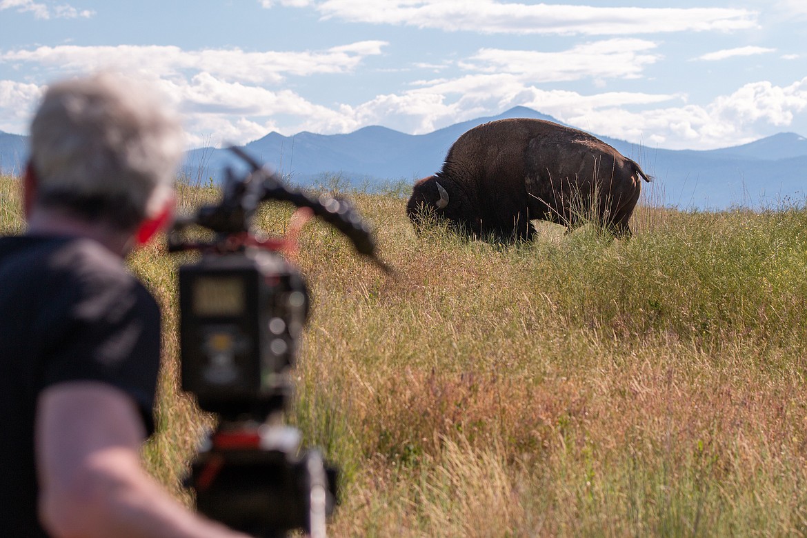 Filming of “The American Buffalo” on the National Bison Range in Montana on June 24, 2021. (Photo courtesy of Jared Ames)