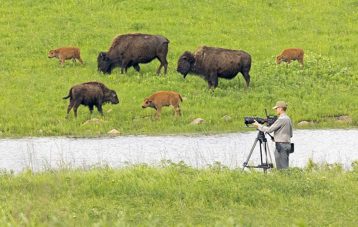 Filming “The American Buffalo” at Joseph H. Williams Tallgrass Prairie Preserve in Pawhuska, Osage County, Oklahoma, in May 2021. (Photo courtesy by Harvey Payne)