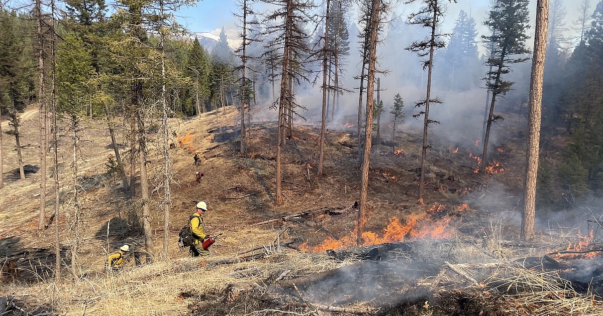Kootenai National Forest plans spring prescribed burns - Vimarsana News