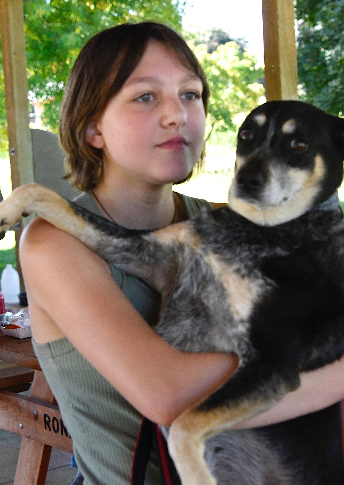 Sadie cuddles in Gwen Diehm's arms. Sadie and Gwen have been a team for about a year, and Sadie came for Life Savers Animal Rescue.  (Berl Tiskus/Leader)