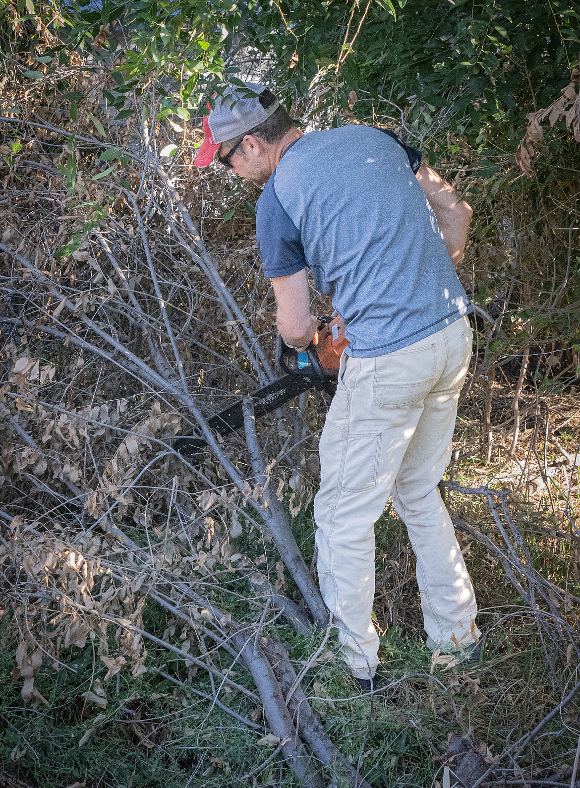 Plains Cleanup Day volunteer Lance Ercanbrack clears some branches. (Tracy Scott/Valley Press)