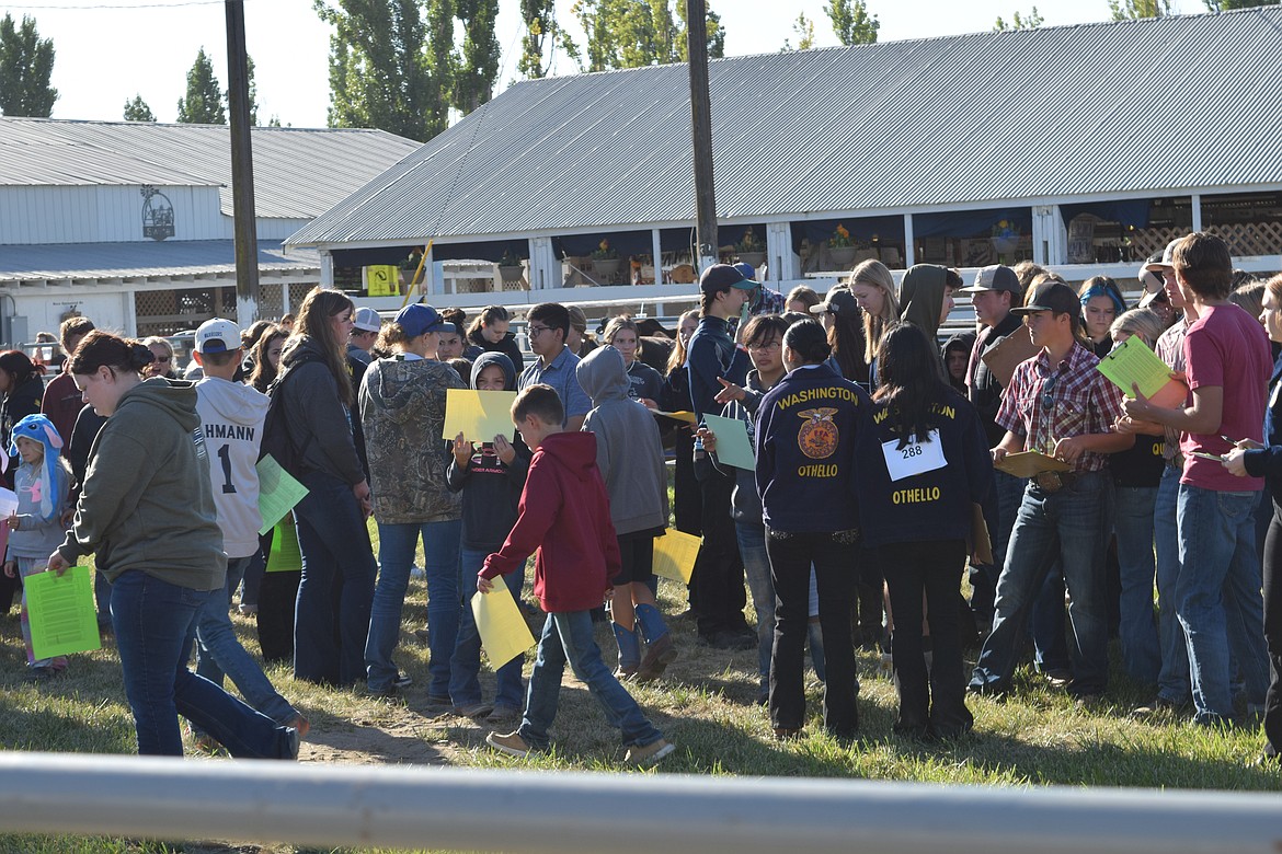 The 2023 Othello Fair Livestock Judging competition did not just feature adjacent 4-H and Future Farmers of America county groups, but members from all over the state.