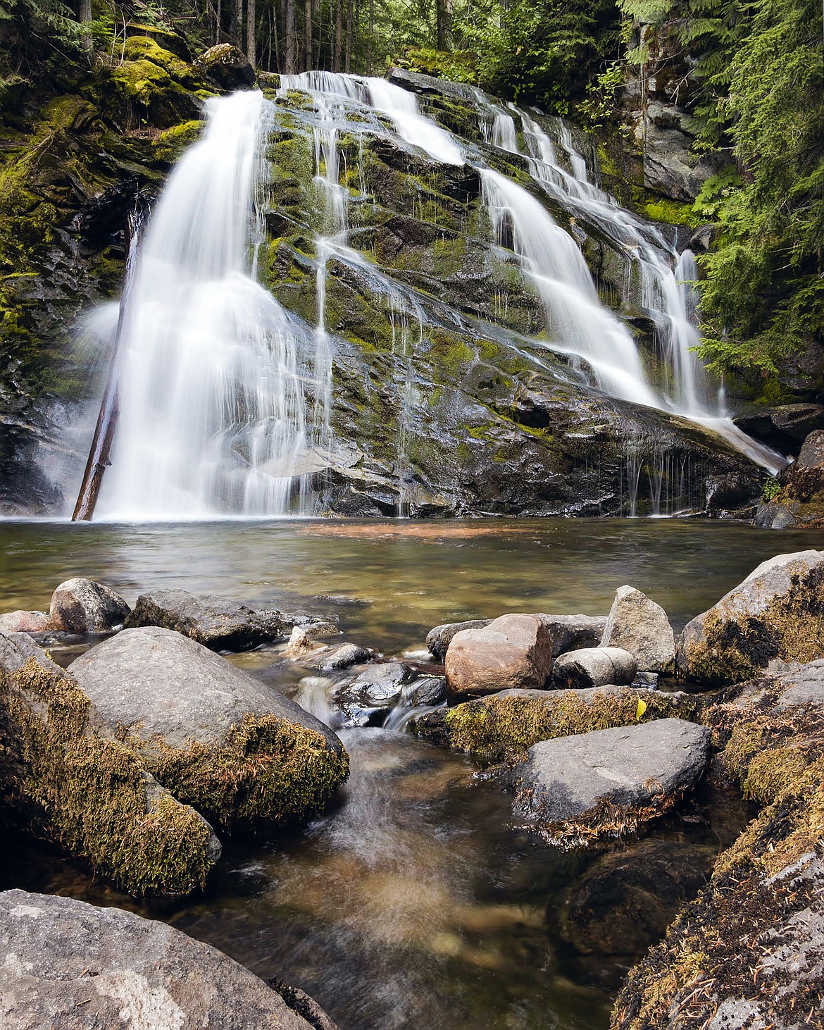 Wendy Davis shared this Best Shot taken on Aug. 9, 2023, of Snow Creek Falls. If you have a photo that you took that you would like to see run as a Best Shot or I Took The Bee send it to the Bonner County Daily Bee, P.O. Box 159, Sandpoint, Idaho, 83864; or drop them off at 310 Church St., Sandpoint. You may also email your pictures to the Bonner County Daily Bee along with your name, caption information, hometown, and phone number to news@bonnercountydailybee.com.